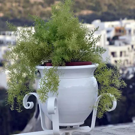 Dimora Di Mezzo Feriehus