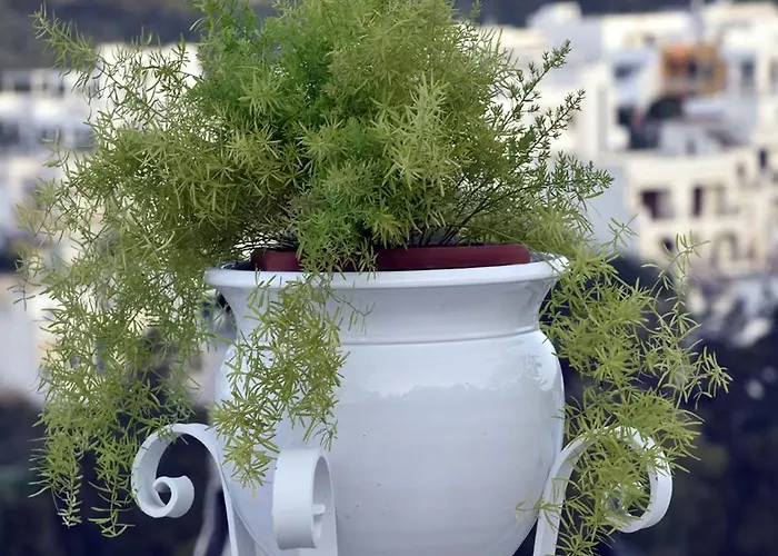 Dimora Di Mezzo בית נופש